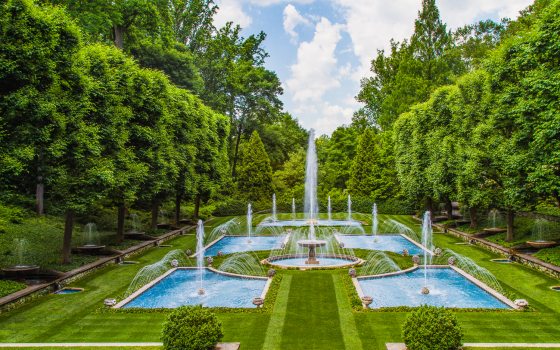 summer image of green lawn with five fountains